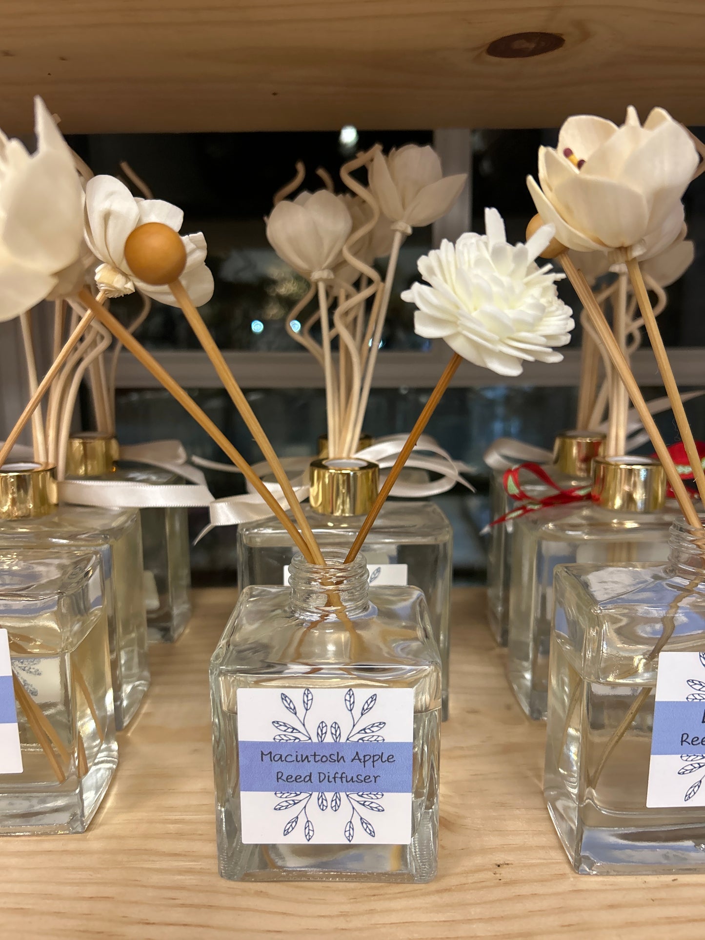 Macintosh Apple Diffuser