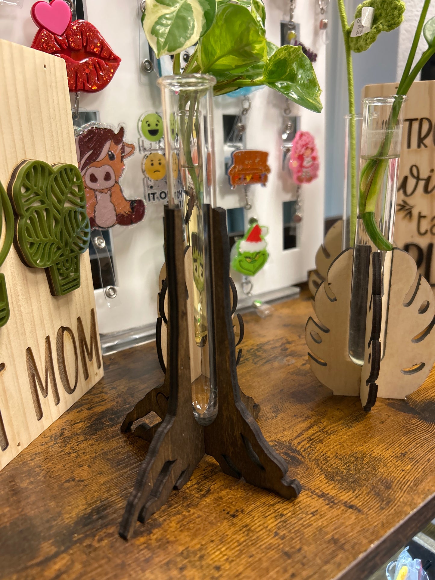 Monstera mini propagation