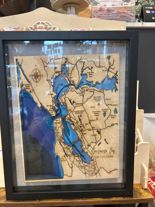 3D SF board