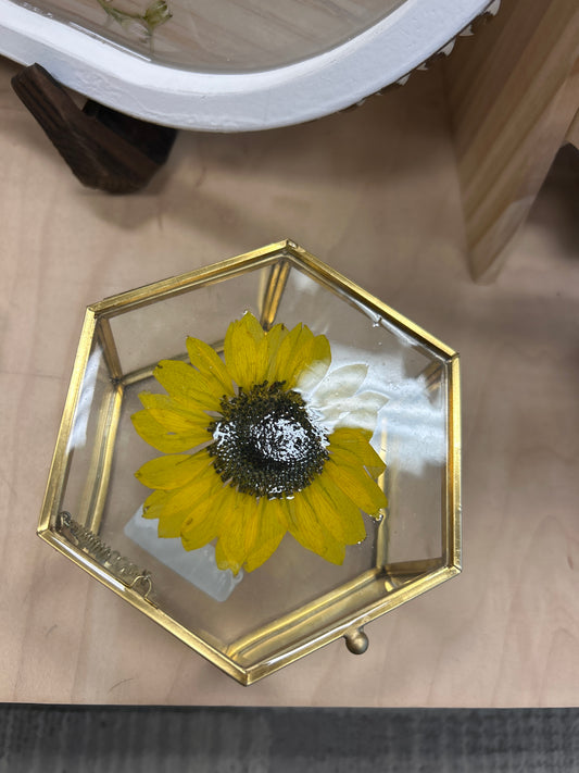 MED Hexagon Jewelry Box